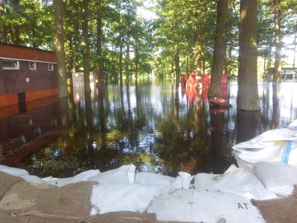 977817_466194153473935_494304822_o