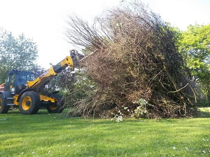 11096457_432498553571499_2557441988096871385_n